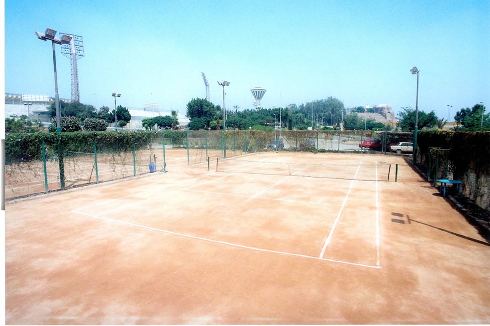 Sports Court Services