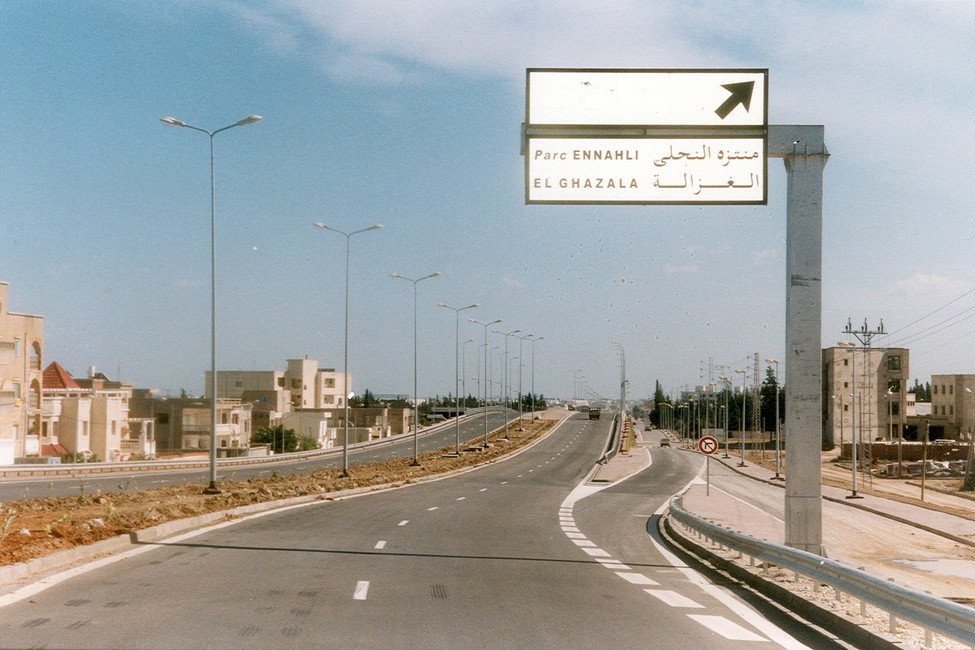 Al-Tawil Bridge